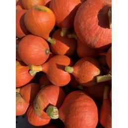 Potimarron orange (1 kg)