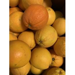Orange bio  (Italie) 1kg